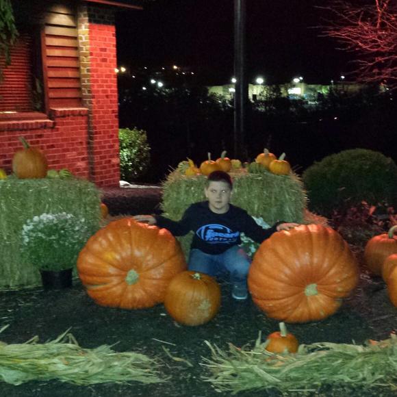 Meet your Posher, Chase - Picture 1 of 1